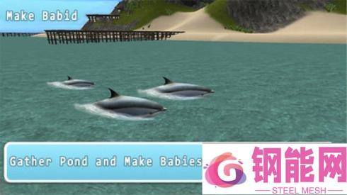 海洋海豚模拟器
