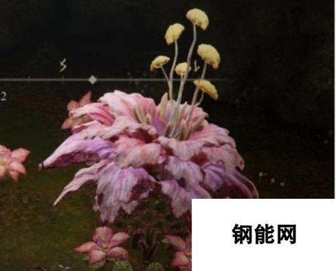 艾尔登法环-粉色花朵的奥秘打法指南