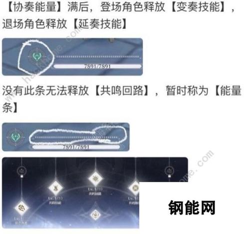 鸣潮鉴心培养攻略 深度解析技能声骸词条与阵容推荐