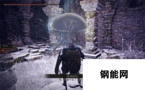 《艾尔登法环》水母召唤方法