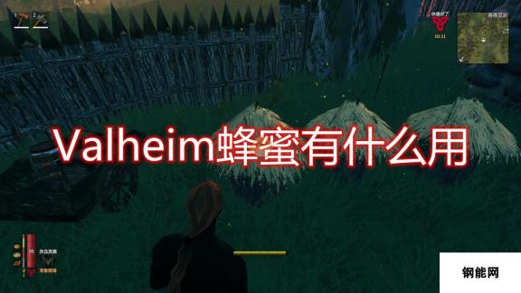 Valheim：英灵神殿蜂蜜作用及获取方法介绍：甜蜜与资源的双重收获