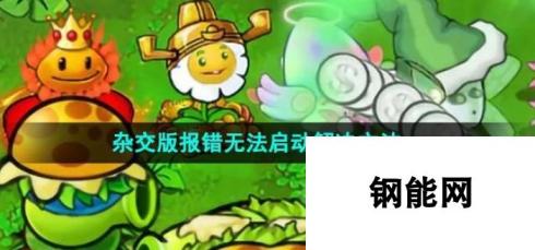 《植物大战僵尸杂交版》报错无法启动解决方法