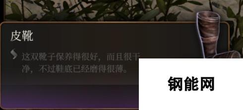 《博德之门3》皮靴介绍