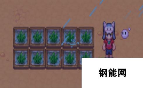 《暖暖村物语》作物种植攻略