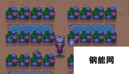 《暖暖村物语》作物种植攻略