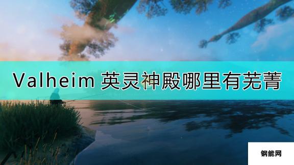 Valheim 英灵神殿芜菁采集森林深处寻宝